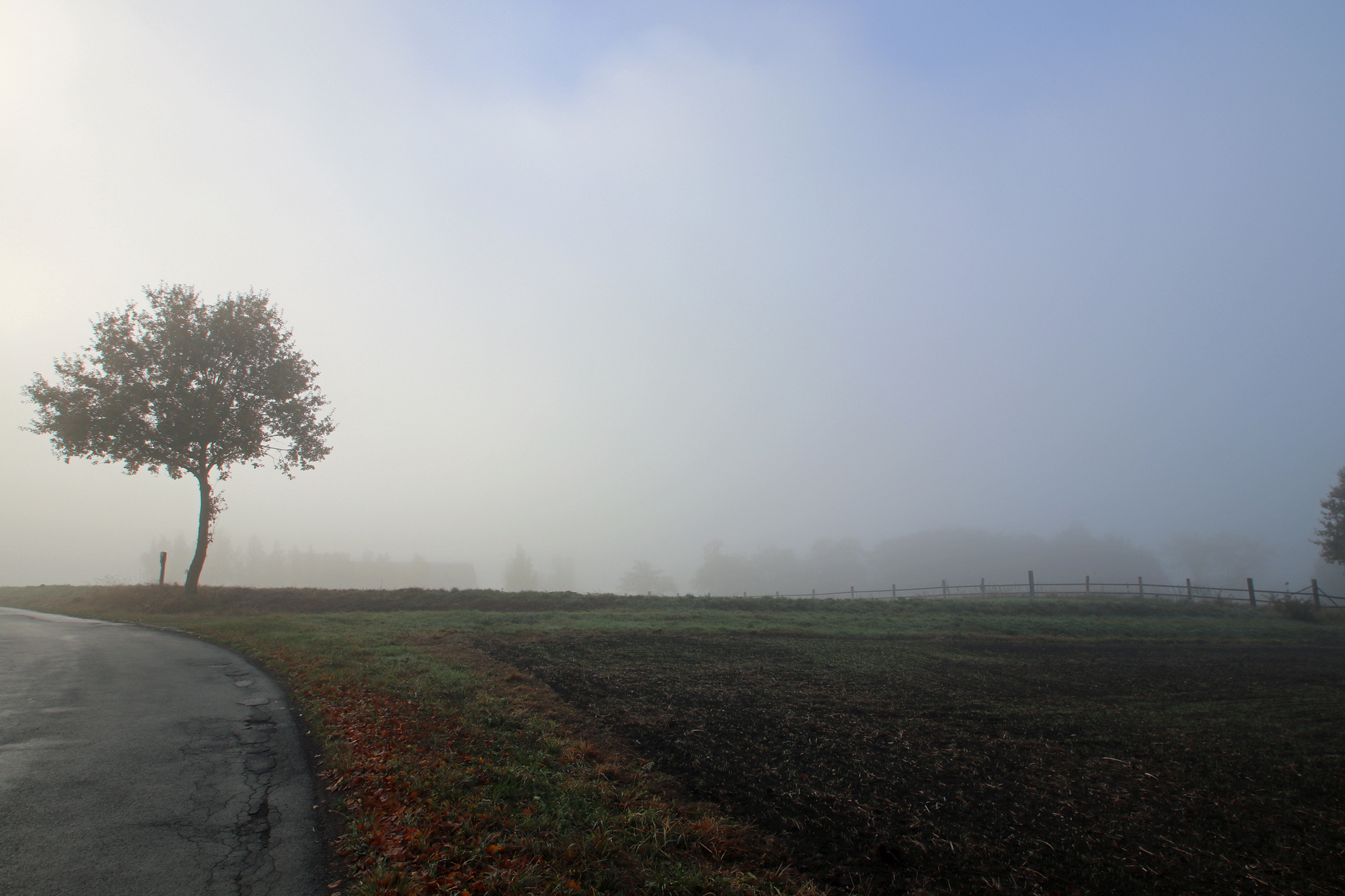 Am_Zitter_Nebel16_01.JPG