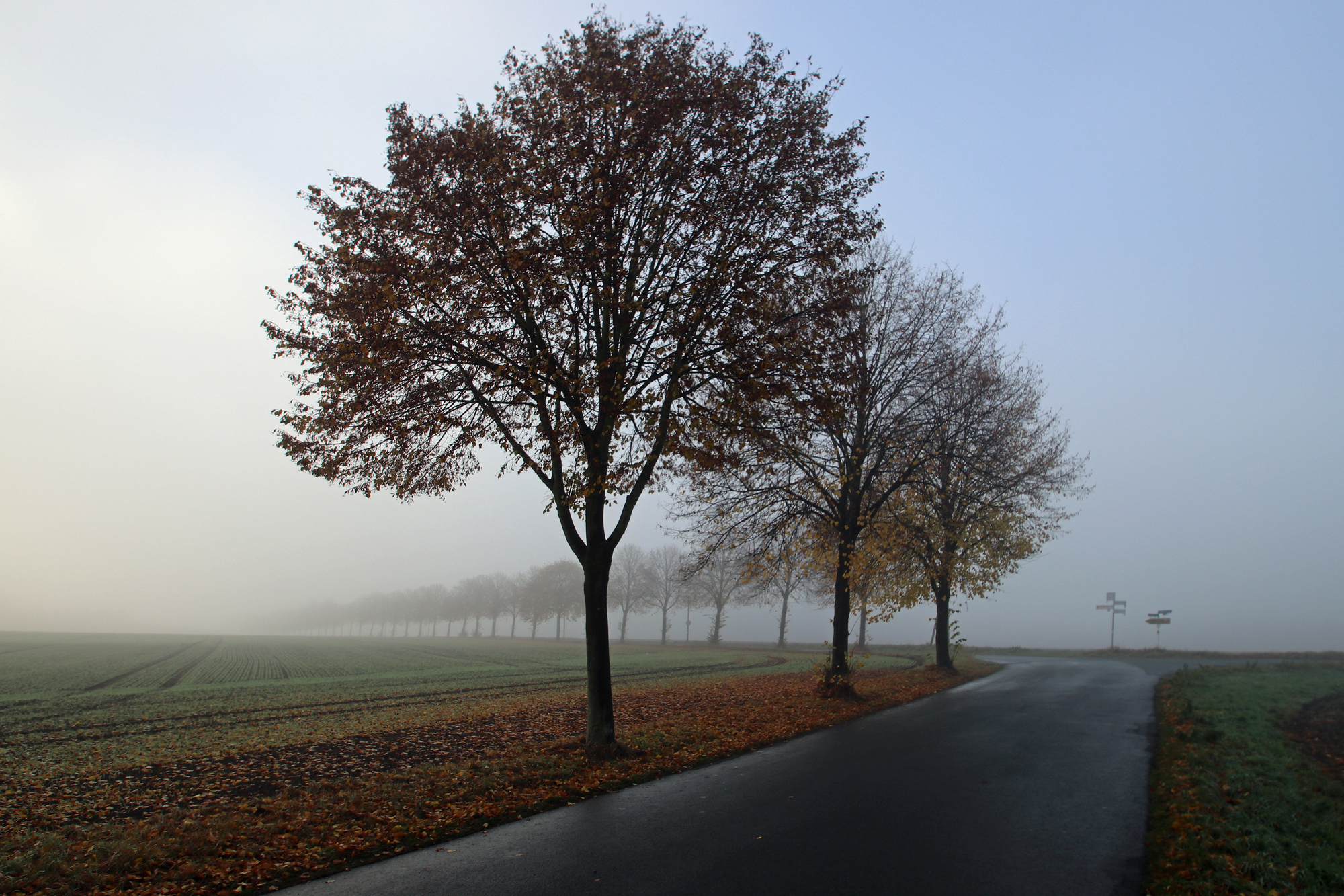 Am_Zitter_Nebel16_02.JPG