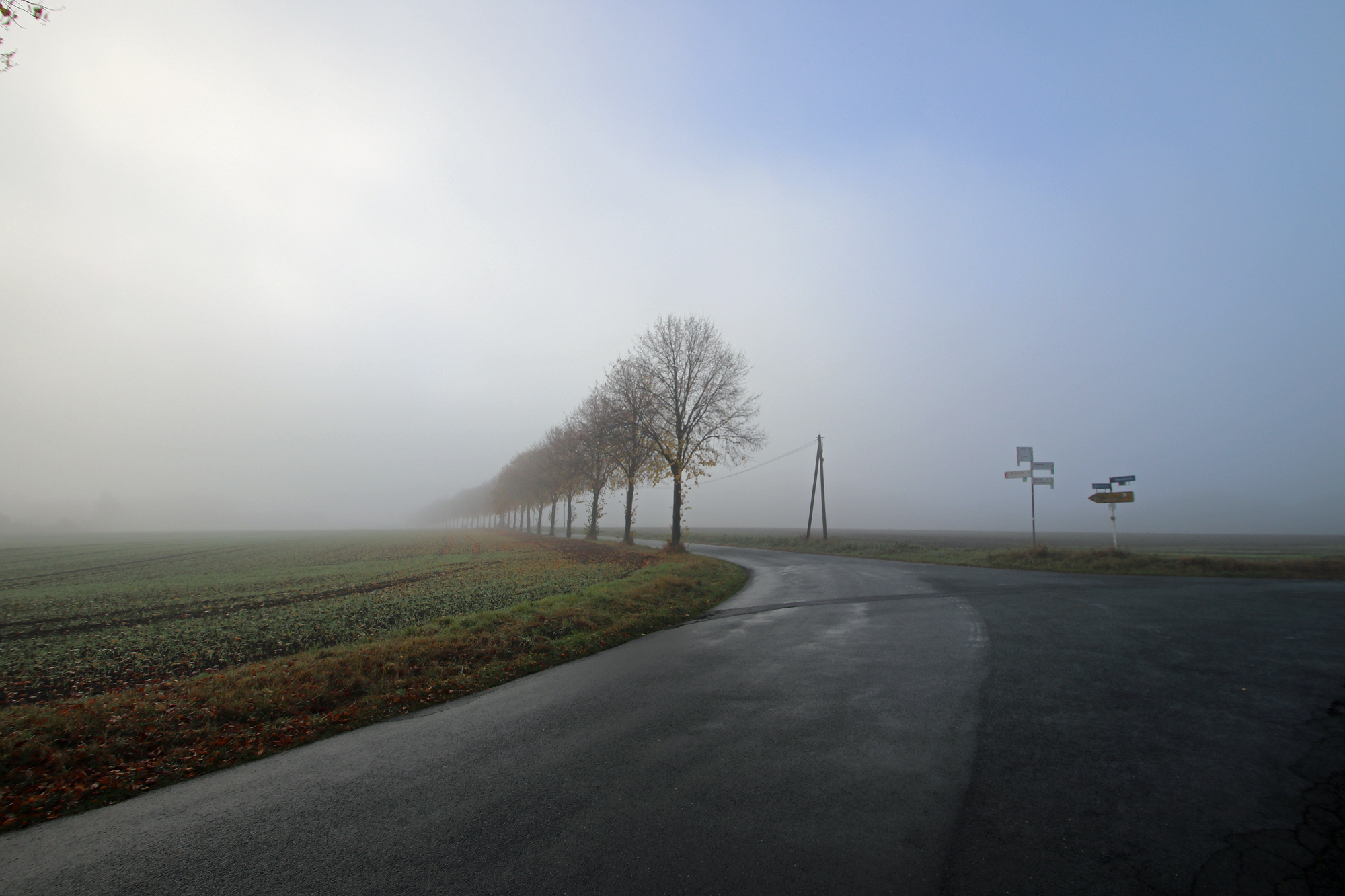 Am_Zitter_Nebel16_03.JPG