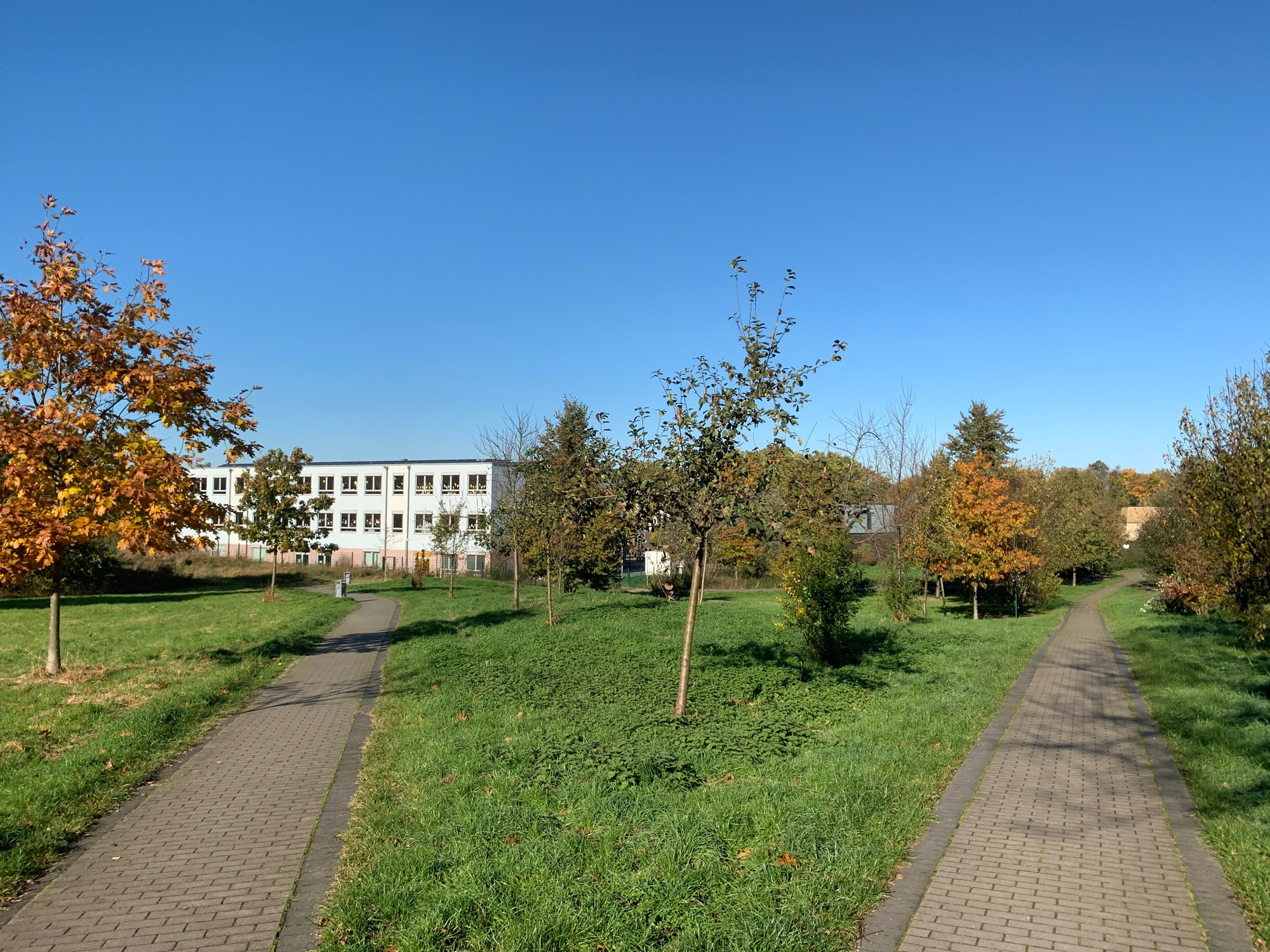 Dorney-Grundschule_3.jpg