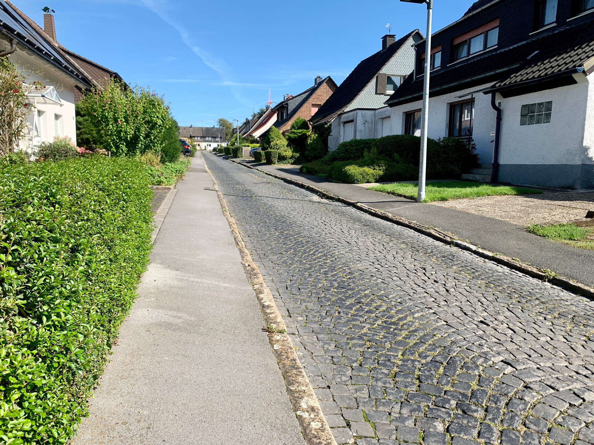 Ernteweg_1.jpg