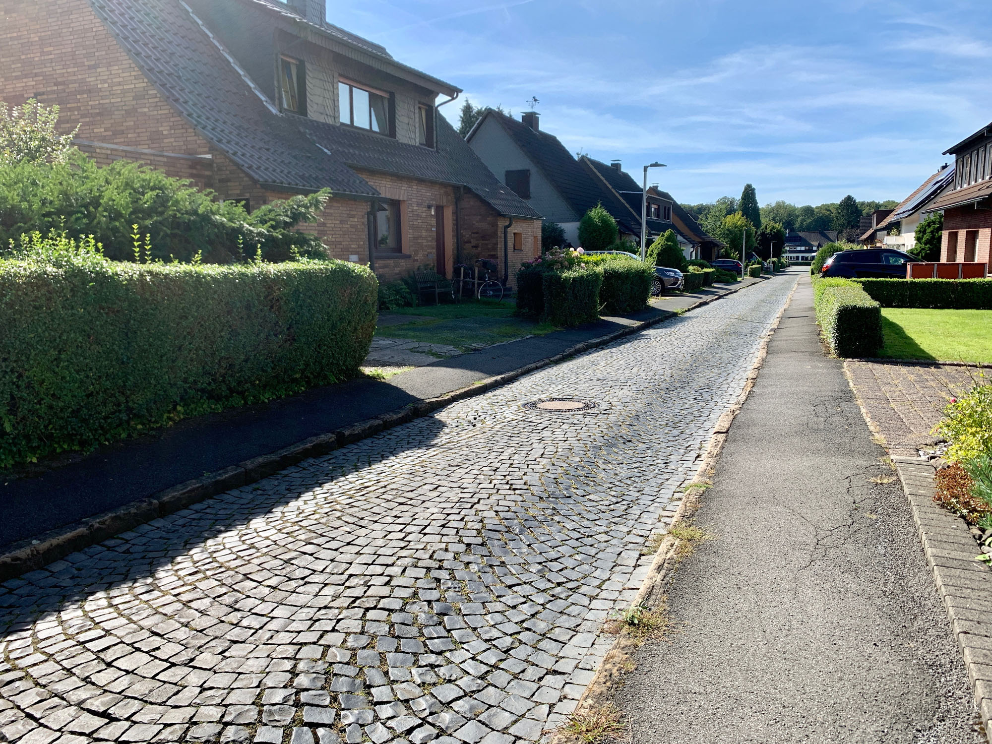 Ernteweg_2.jpg