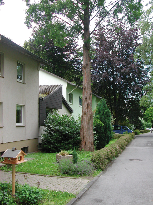 Jugenddorf_4.png