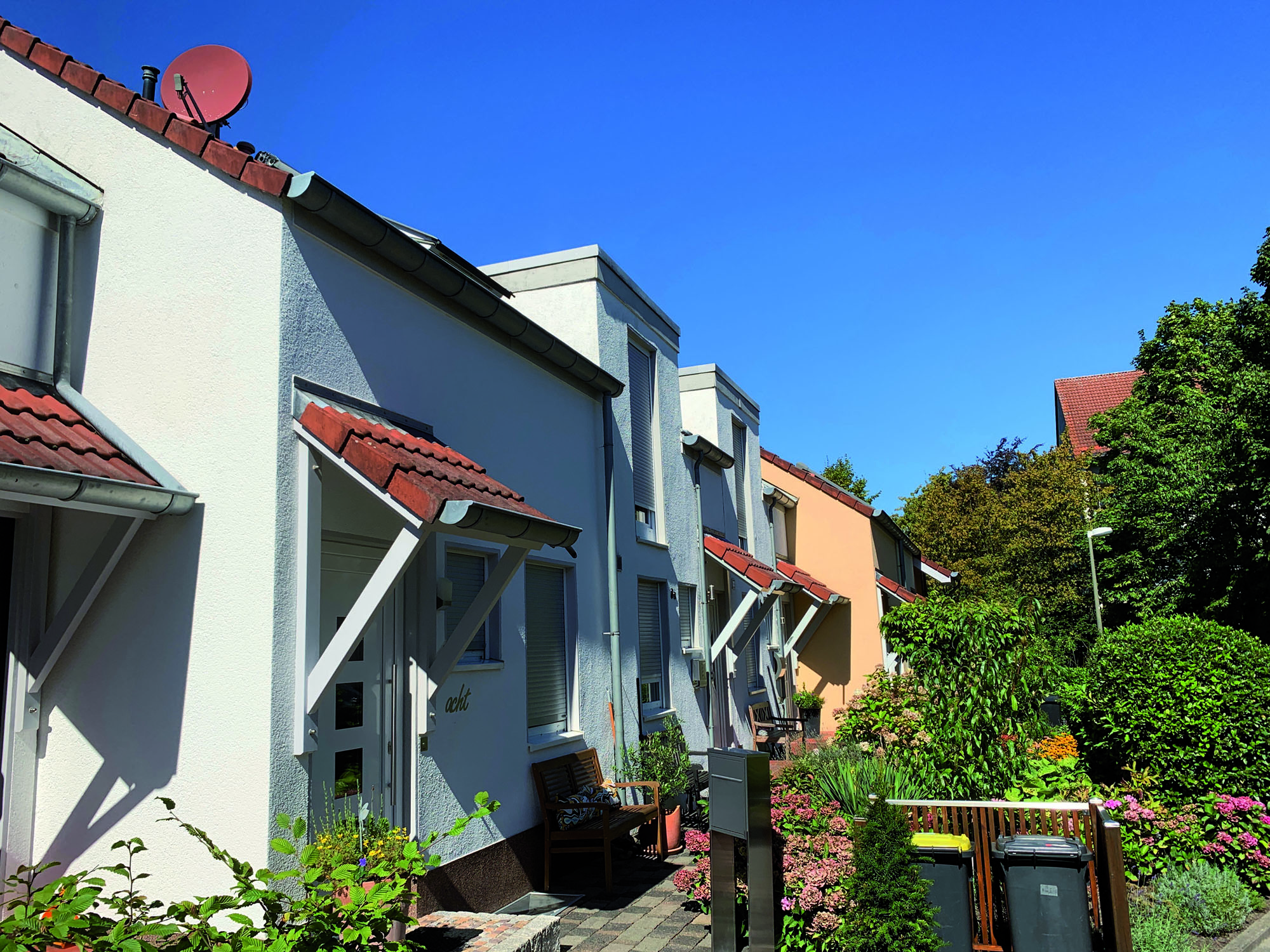 NassesHolz23_1.jpg