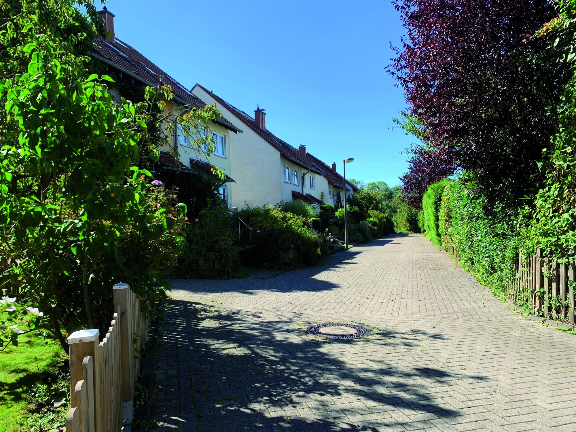 NassesHolz23_2.jpg