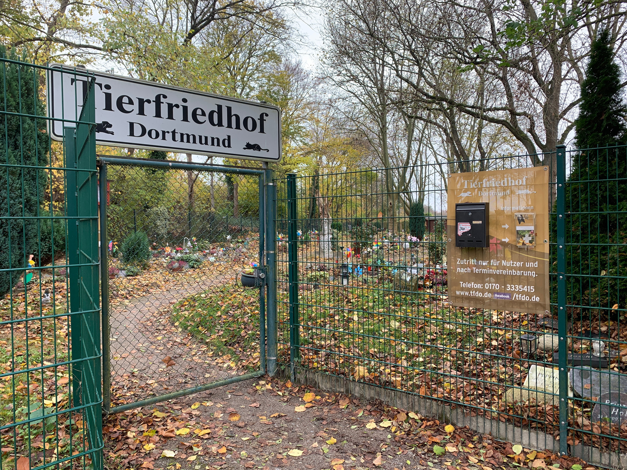 Tierfriedhof_1.jpg