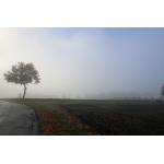 Am_Zitter_Nebel16_01.JPG