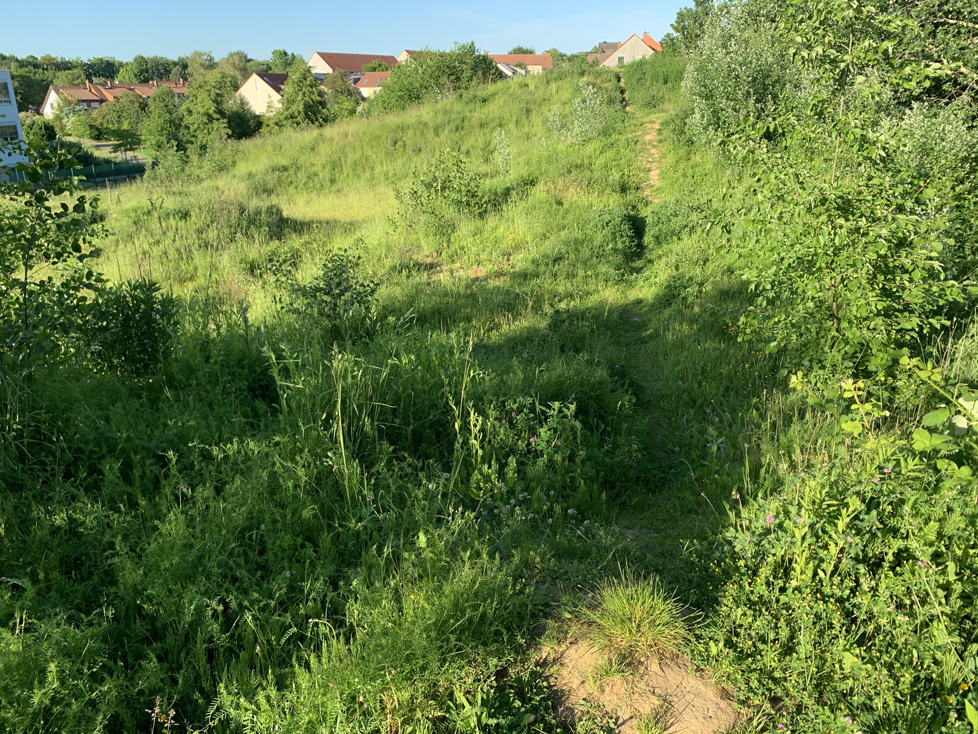 BikerParcours2.jpg