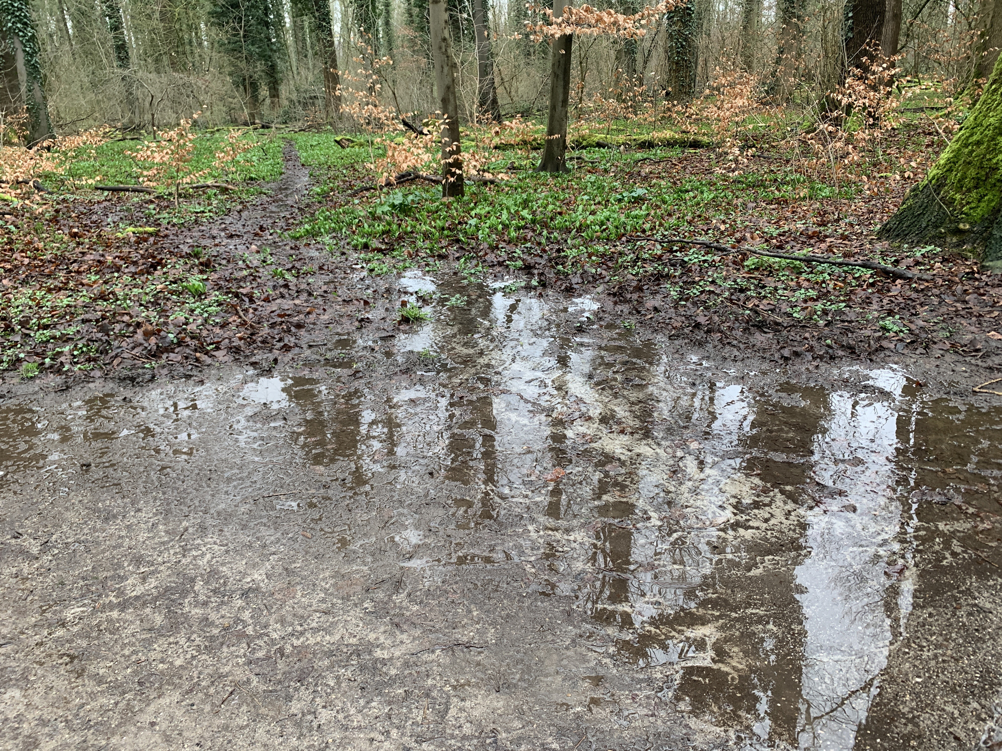 Dorney-Drainage_1.jpg