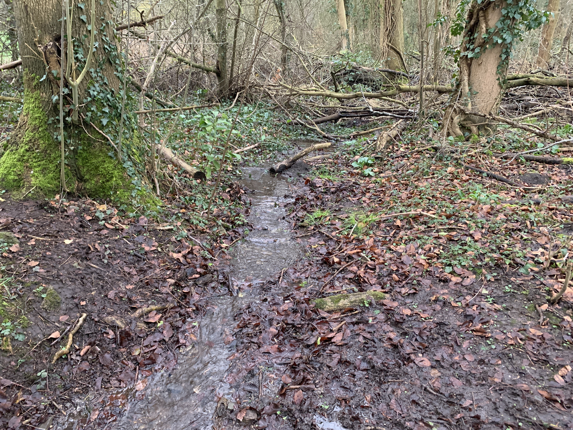 Dorney-Drainage_4.jpg
