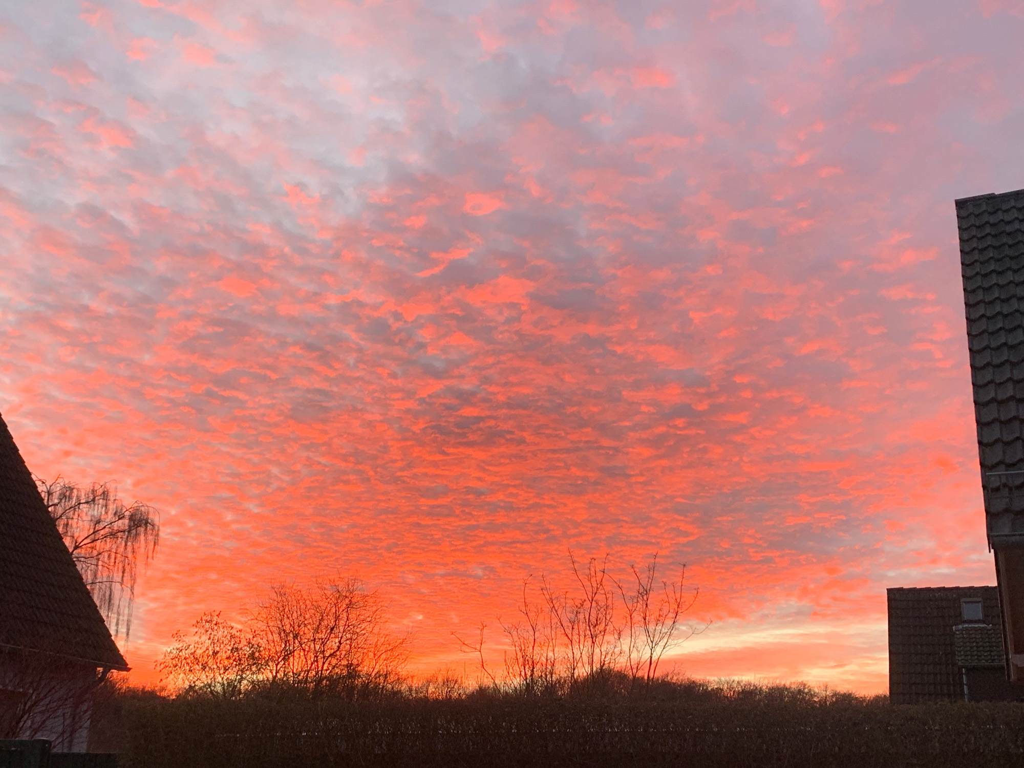 Dorney-Sundown_1.jpg