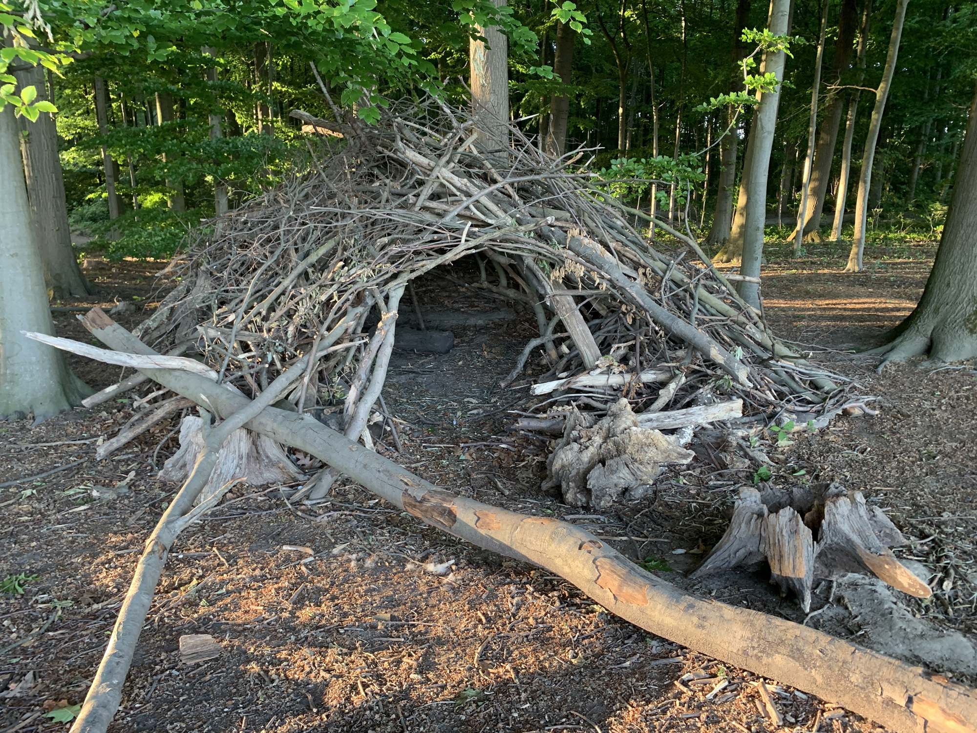 Dorney_Holzbau2.jpg