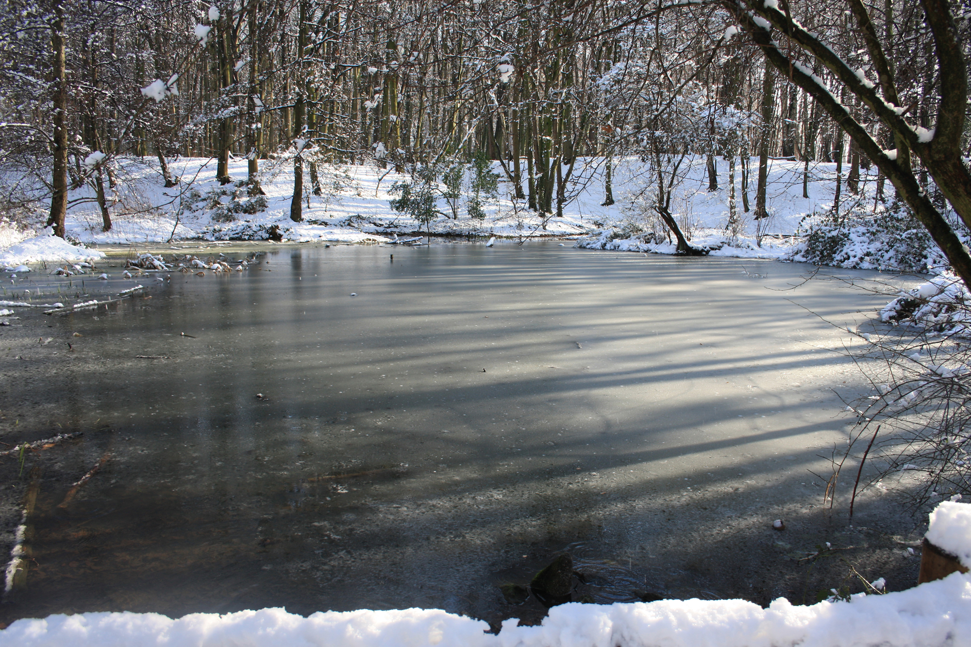 Dorney_Schnee2013_1.JPG