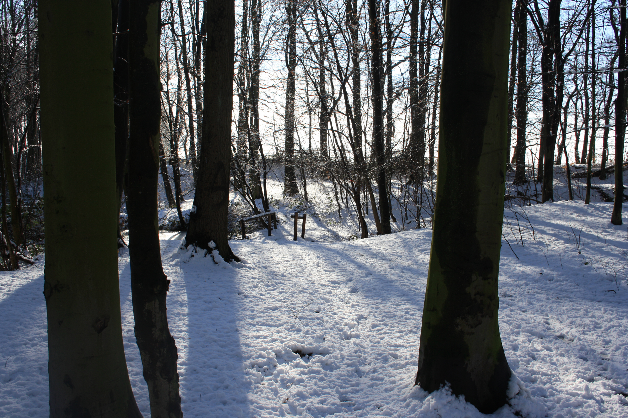 Dorney_Schnee2013_3.JPG