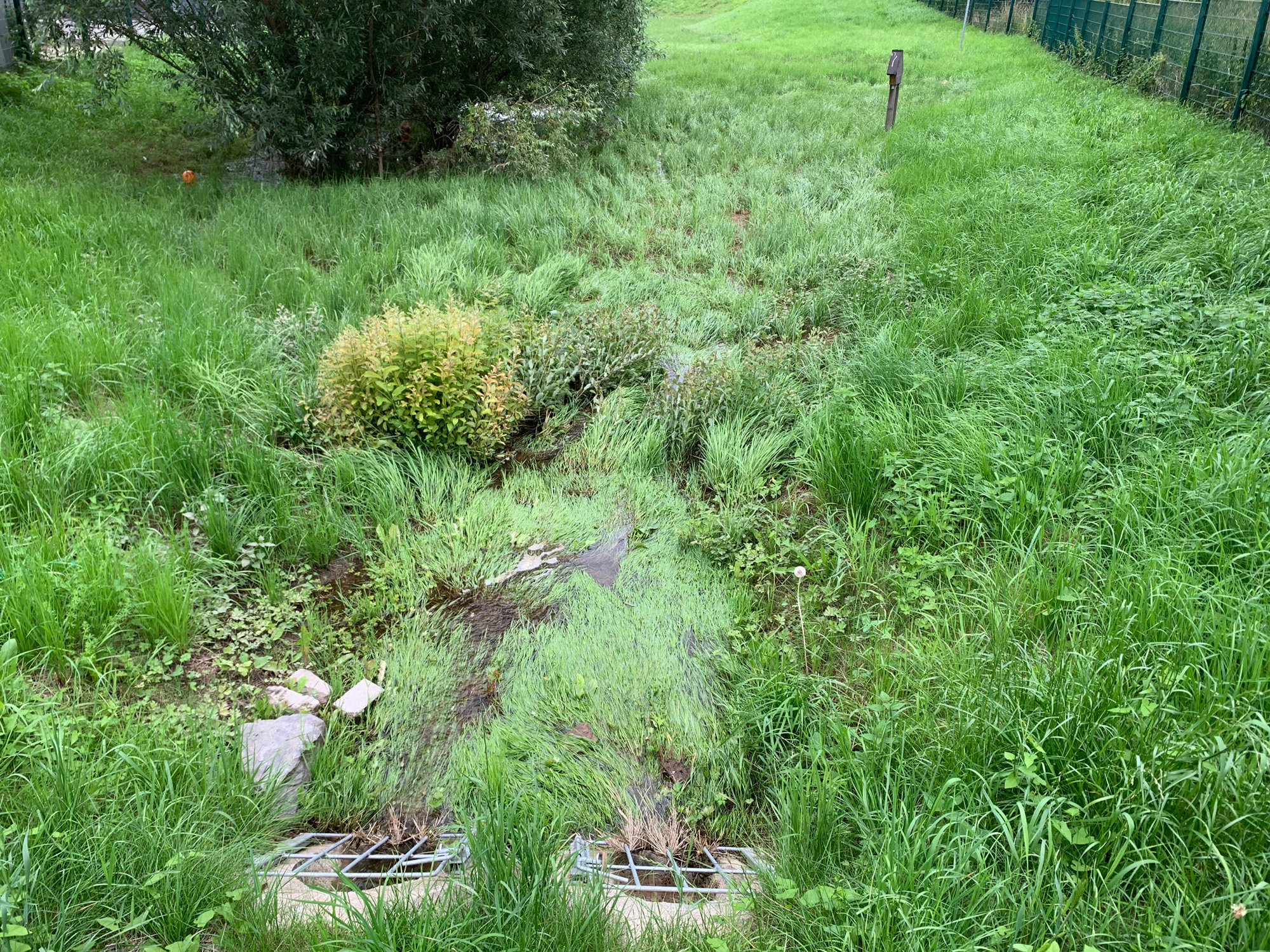 Regenbecken_Grundschule_2.jpg