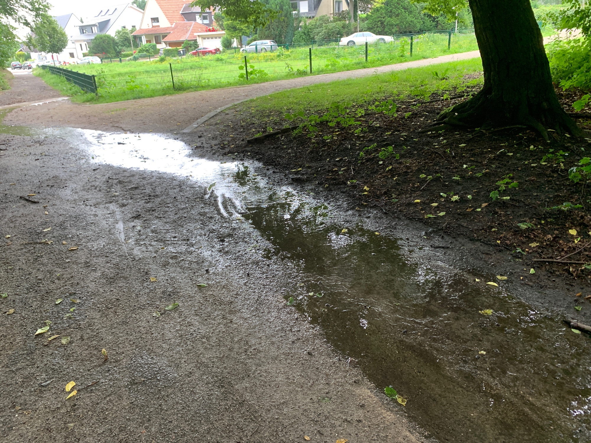 Rueckhaltebecken_Hedwigstr_11.jpg