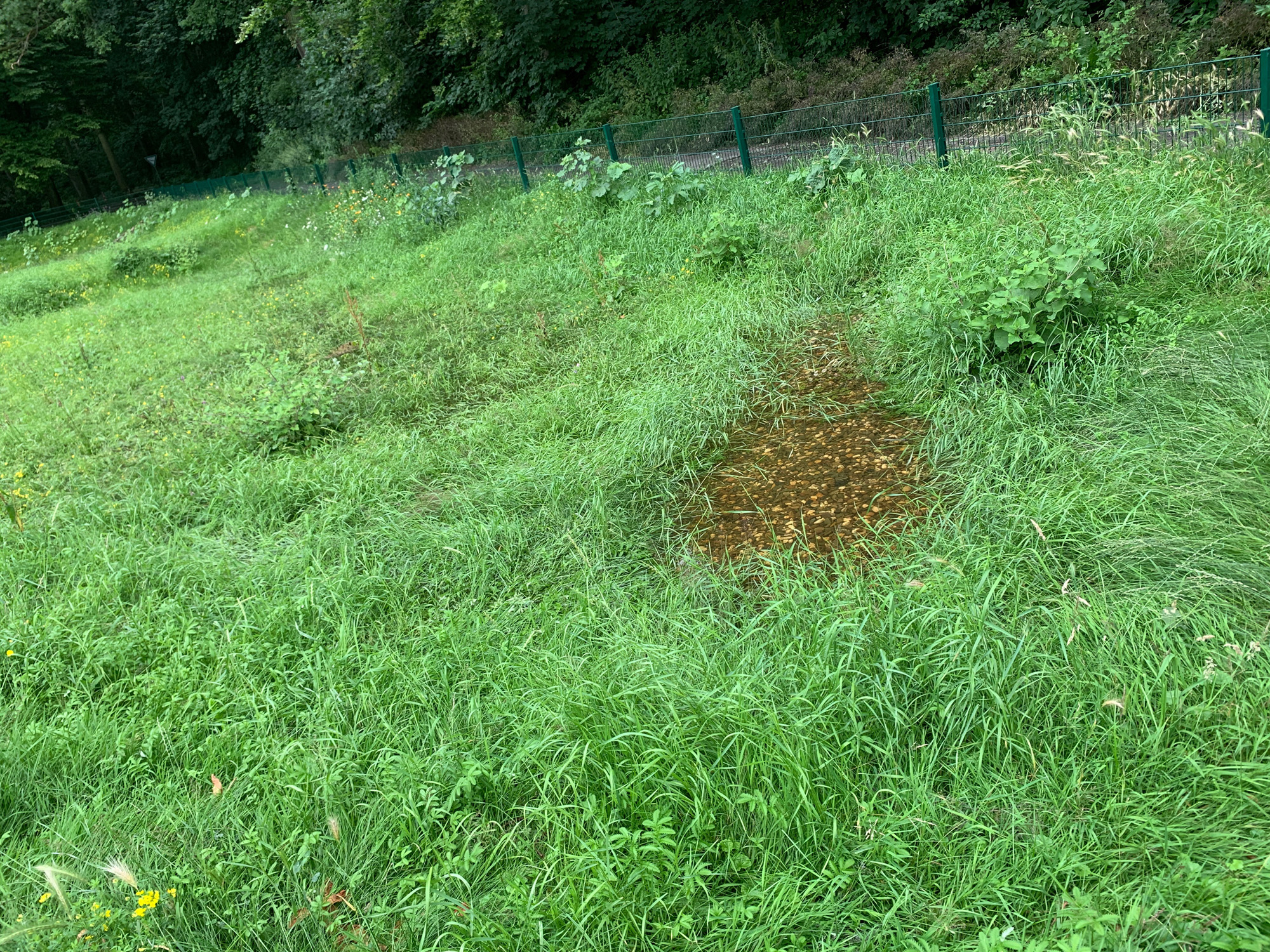 Rueckhaltebecken_Hedwigstr_14.jpg