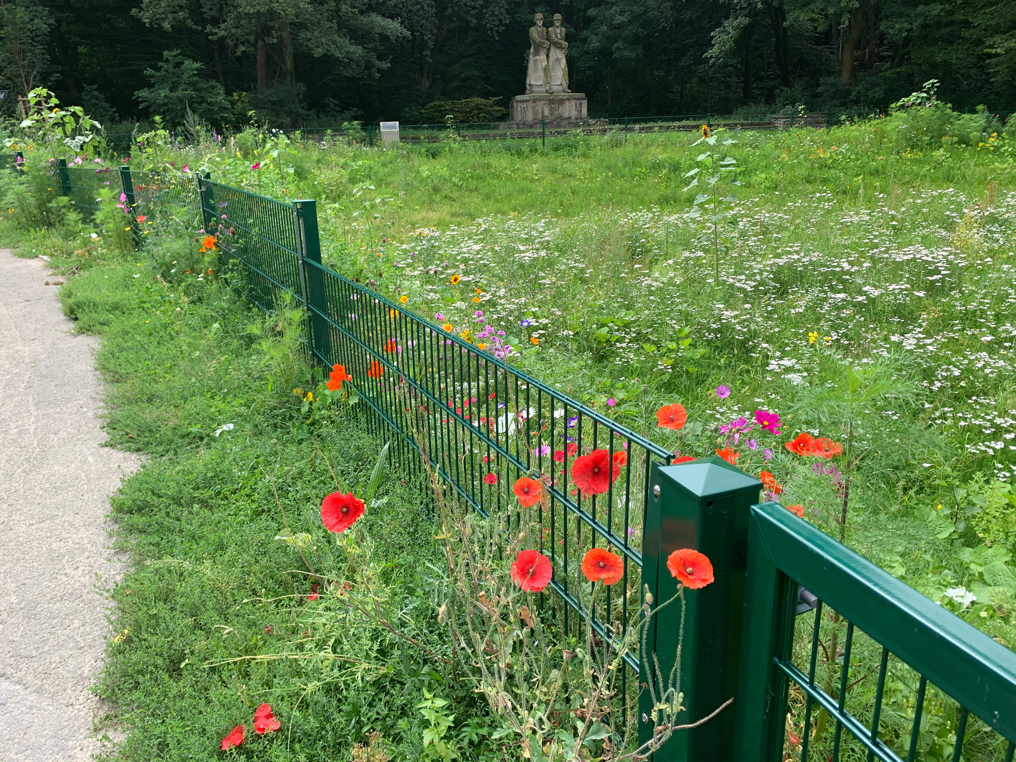 Rueckhaltebecken_Hedwigstr_5.jpg