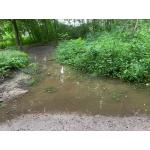 Dorney-Drainage_5.jpg