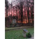 Dorney-Sundown_3.jpg