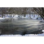 Dorney_Schnee2013_1.JPG