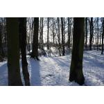 Dorney_Schnee2013_3.JPG